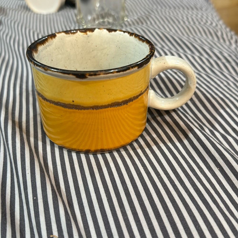 Midwinter fine china tea cup